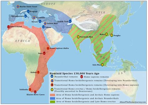 Homo Erectus Map | Ancient world history, Ancient history, History ...