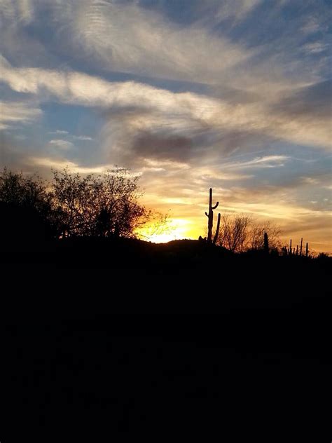 Beautiful Sabino canyon sunset | Sunset, Nature, Celestial