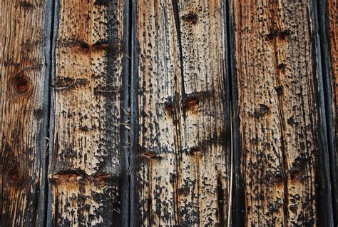 old wooden wall Free Photo Download | FreeImages