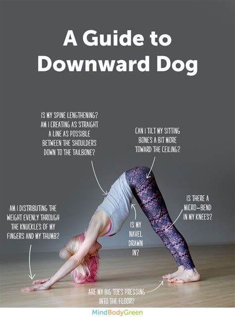 Neu Downward Dog Yoga Pose Benefits - Yoga x Poses