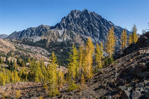 The Best Golden Larch Hiking Trails In Washington State - Jess Wandering