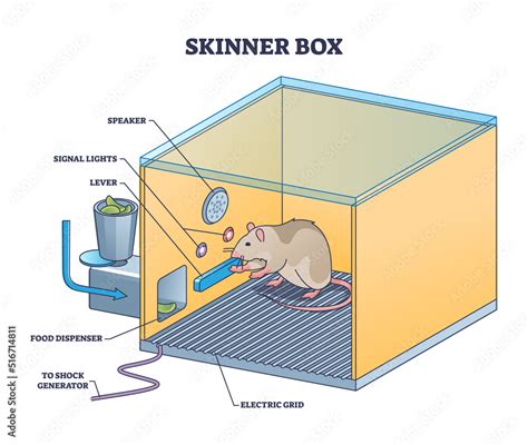 Skinner box or operant conditioning chamber experiment outline diagram ...