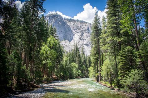 See the Redwoods: 7 Best Hikes in Sequoia & Kings Canyon National Parks ...