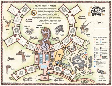 Disney’s Animal Kingdom Villas – Jambo House Map | Magical Journeys