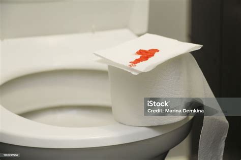 A Roll Of Toilet Paper With Blood Lies On The Toilet Stock Photo ...