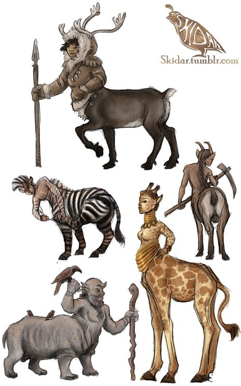 Centaur Sketches | Fantasy creatures art, Fantasy character design ...