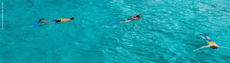 Snorkeling Turks and Caicos Islands | A Guide to the Best Spots ...