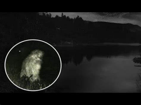 SCARY!! LAKE MONSTER ATTACKS Woman! SHOCKING Under Water Video [Canada ...