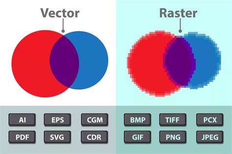 Which Graphic File Format is Best: Vector and Raster Images - Tell Your ...