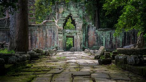 Cambodia Temple Ruins and Tree - HD Wallpaper