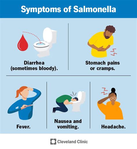 What Does Salmonella Poop Look Like - AnimalsPick