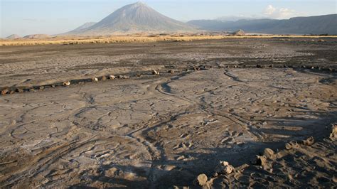 Fossil footprints: Largest collection of footprints discovered in Africa