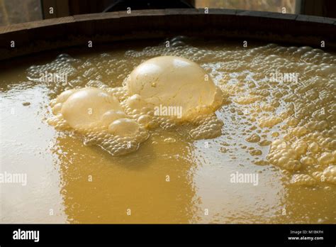 yeast bubbles for alcohol Stock Photo - Alamy