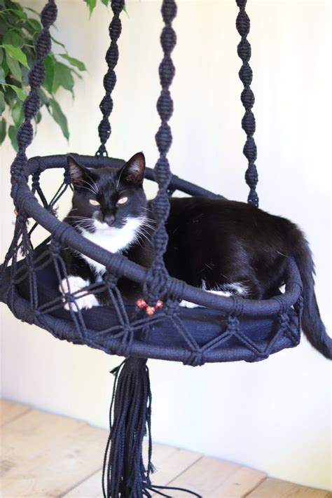 Cat Hammocks For Sale Big - AileenDechant