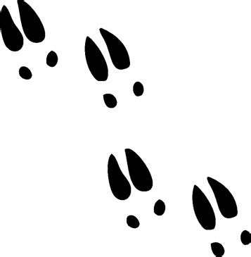 Animal Tracks Clipart - ClipArt Best