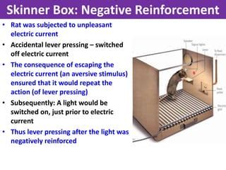 Skinner Box - VCE U4 Psychology | PPT