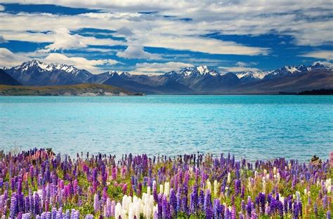 Lake Tekapo, Christchurch | Tickets & Tours - 2024 - page 2