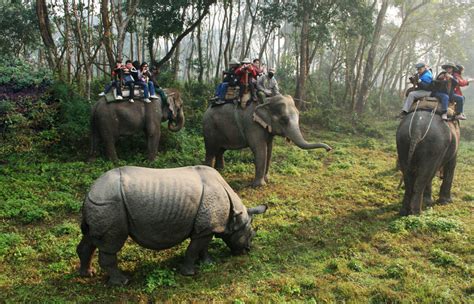 Chitwan National Park – KTM Guide