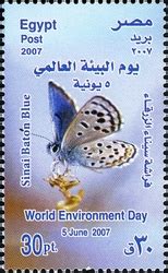 Stamp: World Environment Day - Sinai Baton Blue (Egypt 2007) - TouchStamps