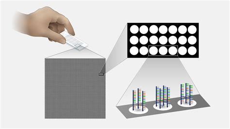 Microarray Technology