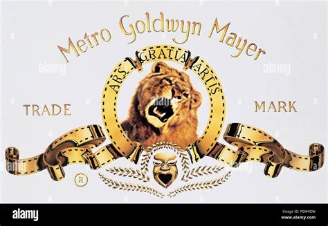 Metro Goldwyn Mayer Lion Vector Clipart