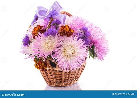 Aster bouquet stock photo. Image of plant, flora, purple - 33383270