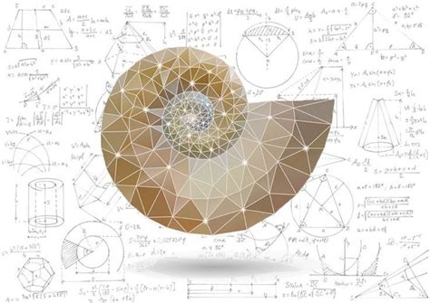 Mathematical Masterpieces: Making Art From Equations | Math art ...