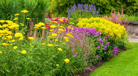 18 Summer Flowers for the Prettiest Garden Ever