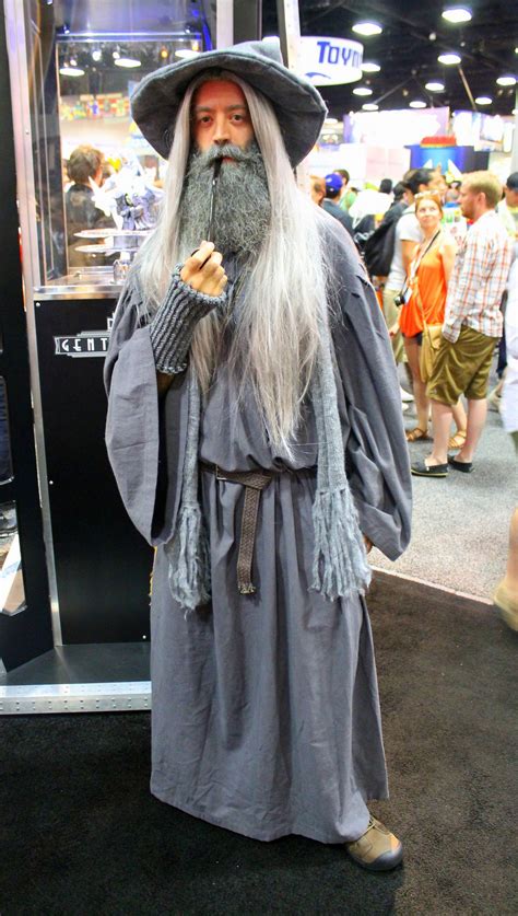 Gandalf the Grey Cosplay Costume | Gandalf the grey, Gandalf, Cosplay ...