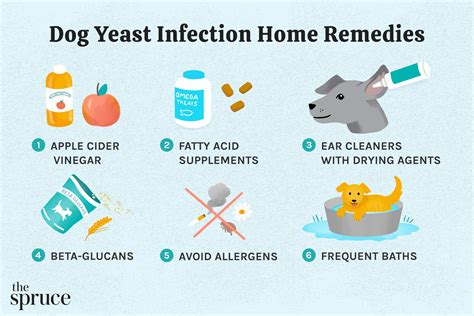 Dog Yeast Infection Home Remedy