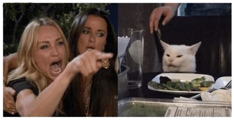 Woman Yelling At Cat Meme Template