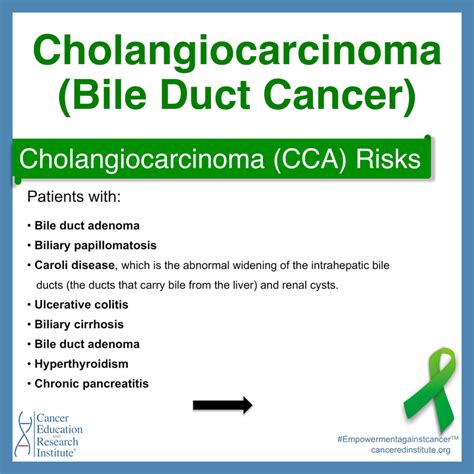 Cholangiocarcinoma (BIle Duct Cancer) - Cancer Education and Research ...