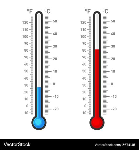 Celsius and fahrenheit thermometers showing hot Vector Image