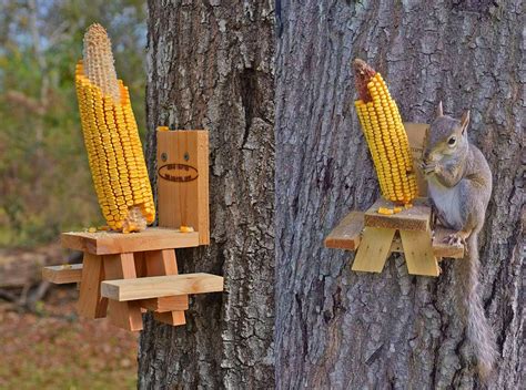 This Picnic Table Squirrel Feeder Lets Your Backyard Squirrels Sit Down ...