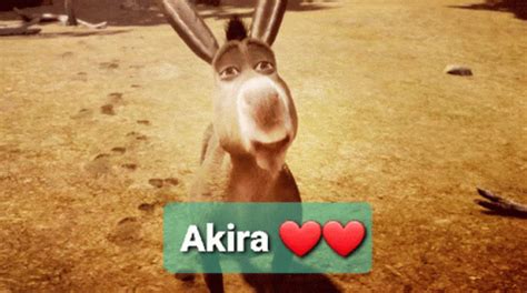 Shrek Meme Shrek GIF - Shrek Meme Shrek Shrek Donkey - Discover & Share ...