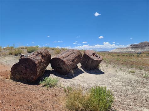 Petrified Forest National Park Travel Guide - Parks & Trips