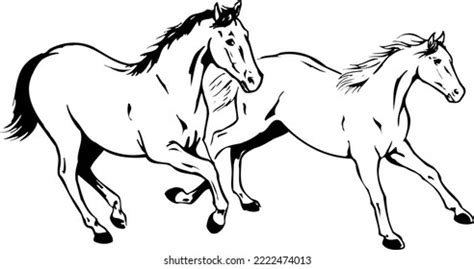 Horses Running Black White Vector Illustration Stock Vector (Royalty ...