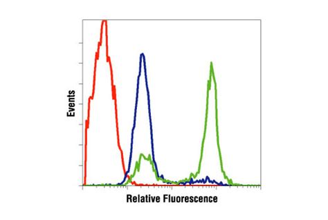 Cleaved Caspase-3 (Asp175) Antibody #9661-Cell Signaling Technology