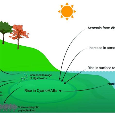 Effects of climate change on cyanobacterial harmful algal blooms and ...