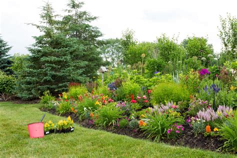 Good Plants For Berms: What To Grow On A Berm - Gardening Know How