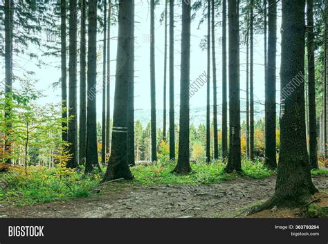 Lovely Late Summer Image & Photo (Free Trial) | Bigstock