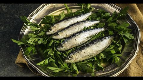 Are sardines and herring the same fish What's the difference - YouTube