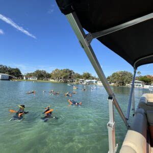 Crystal River Manatee Tours On Manatee Fun