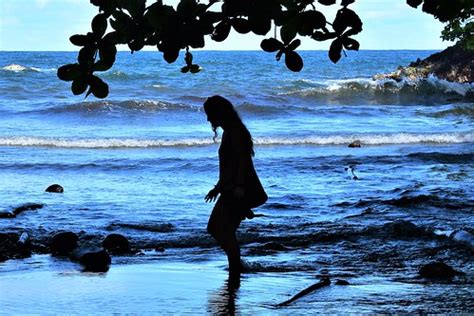 Hamakua Coast | Beach area on Onomea Trails, Hamakua Coast -… | Flickr