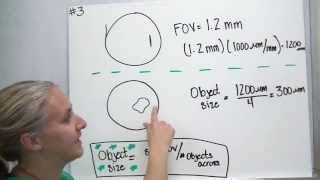 Calculating Field Of View Microscope Worksheet