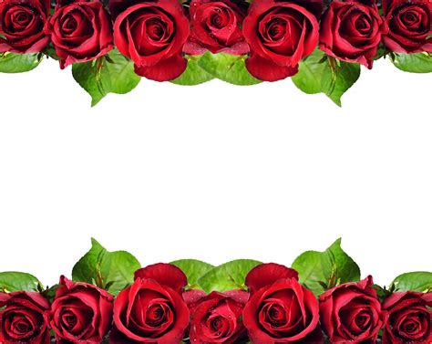 Elegant Red Rose Border Corner