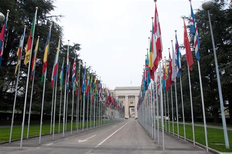 United Nations Office at Geneva in Geneva: 8 reviews and 35 photos