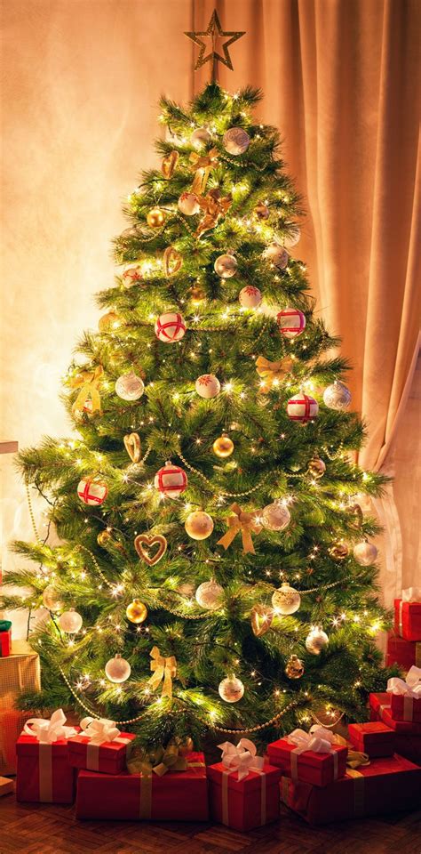 Christmas tree | Tradition, History, Decorations, Symbolism, & Facts ...