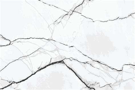 White And Black Marble Texture