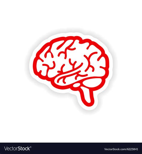 Paper sticker on white background human brain Vector Image